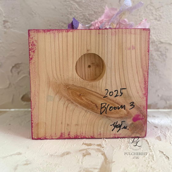 Bloom-3-