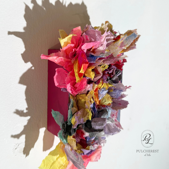 Bloom-1-