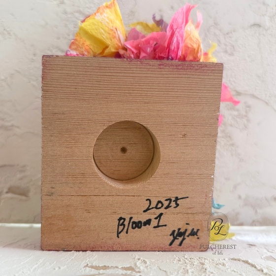 Bloom-1-